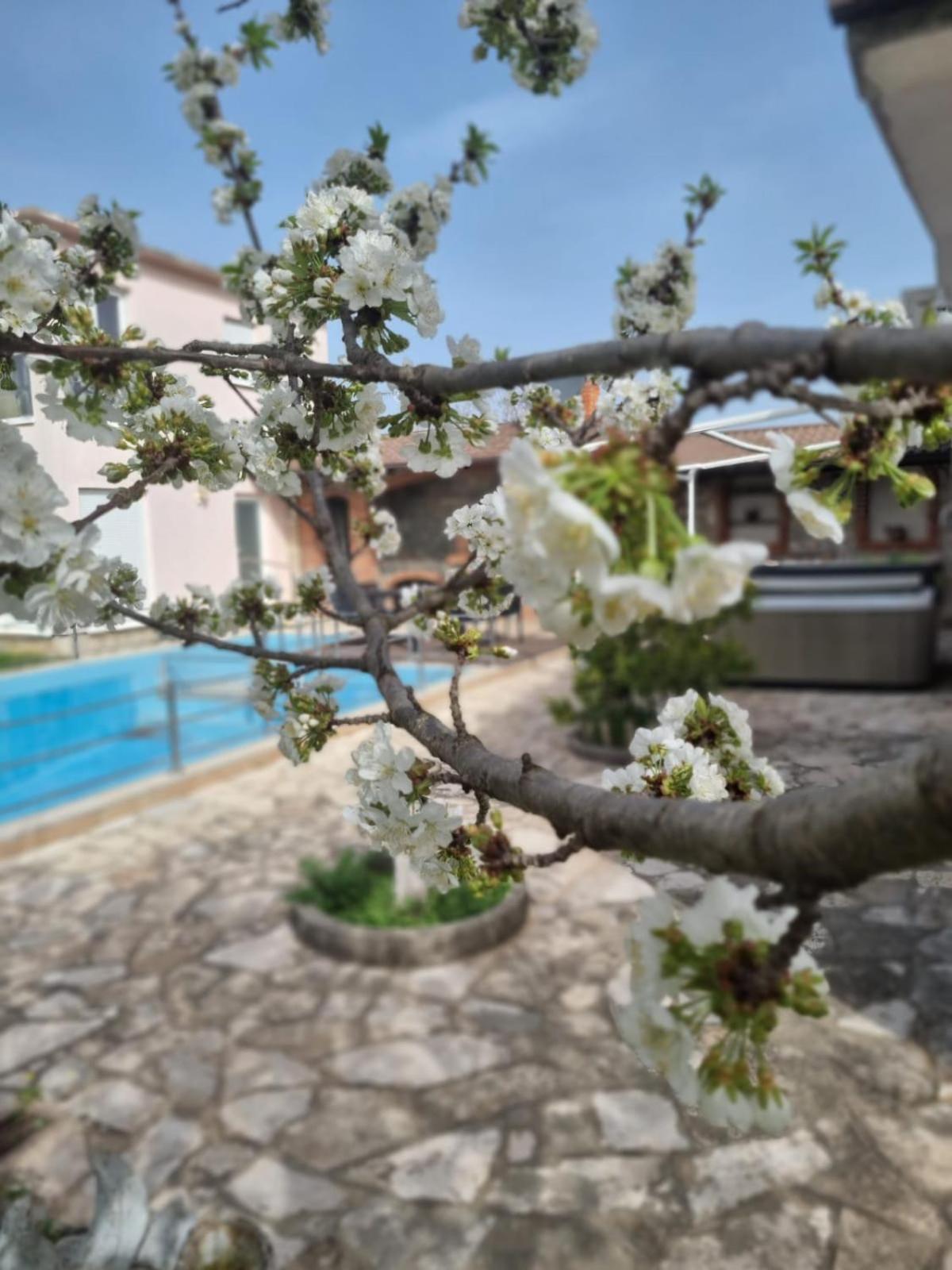 Hacienda Kolenda Apartment Mostar Exterior photo